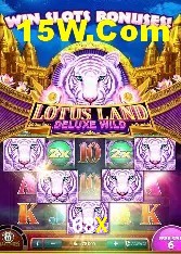 Recursos de Bônus 68X